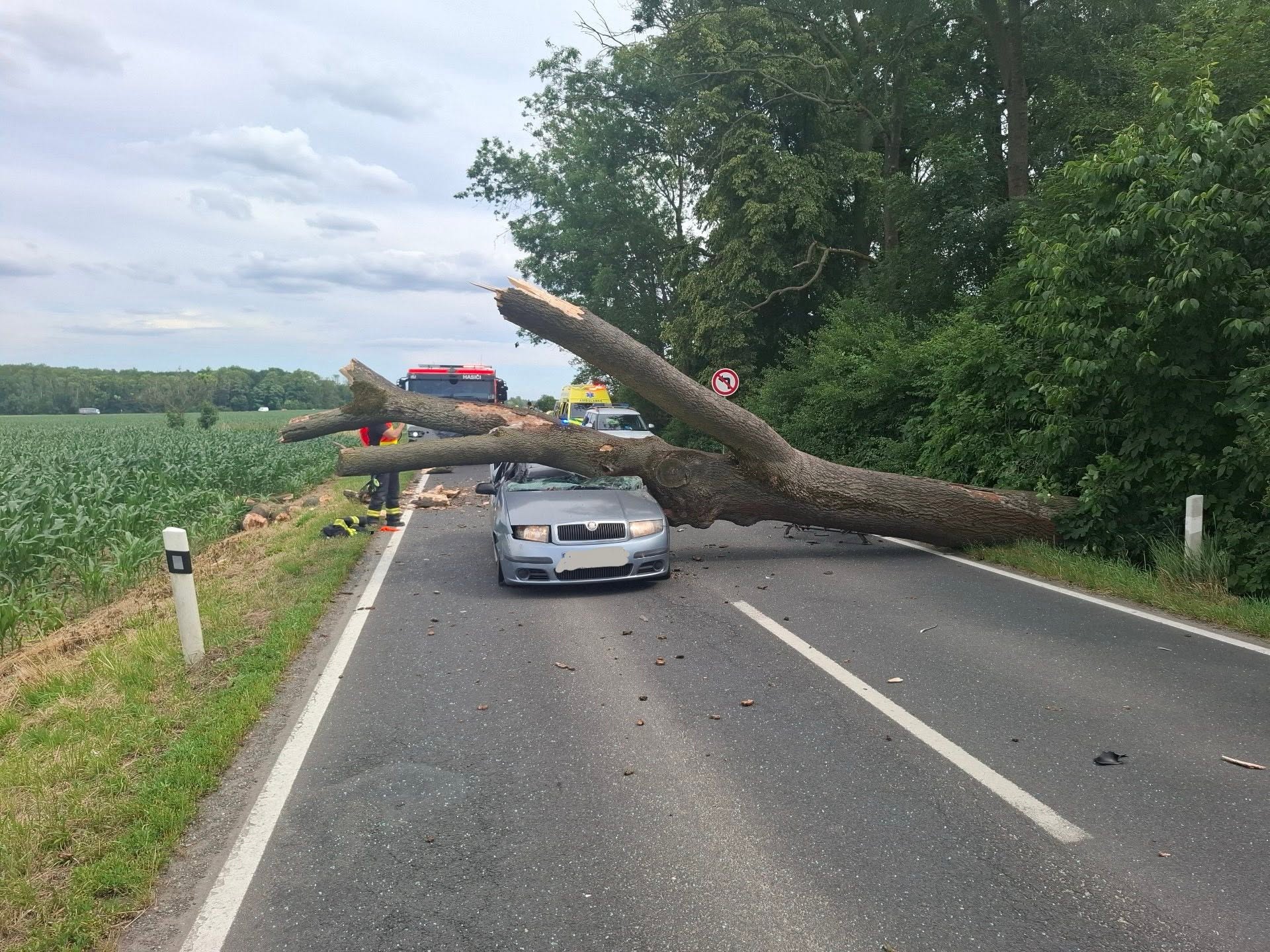 Strom zdemoloval projíždějící auto u Štěpánova. Řidič utrpěl zranění